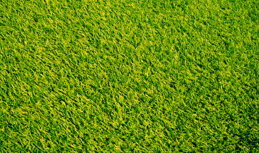 Hydroseeding